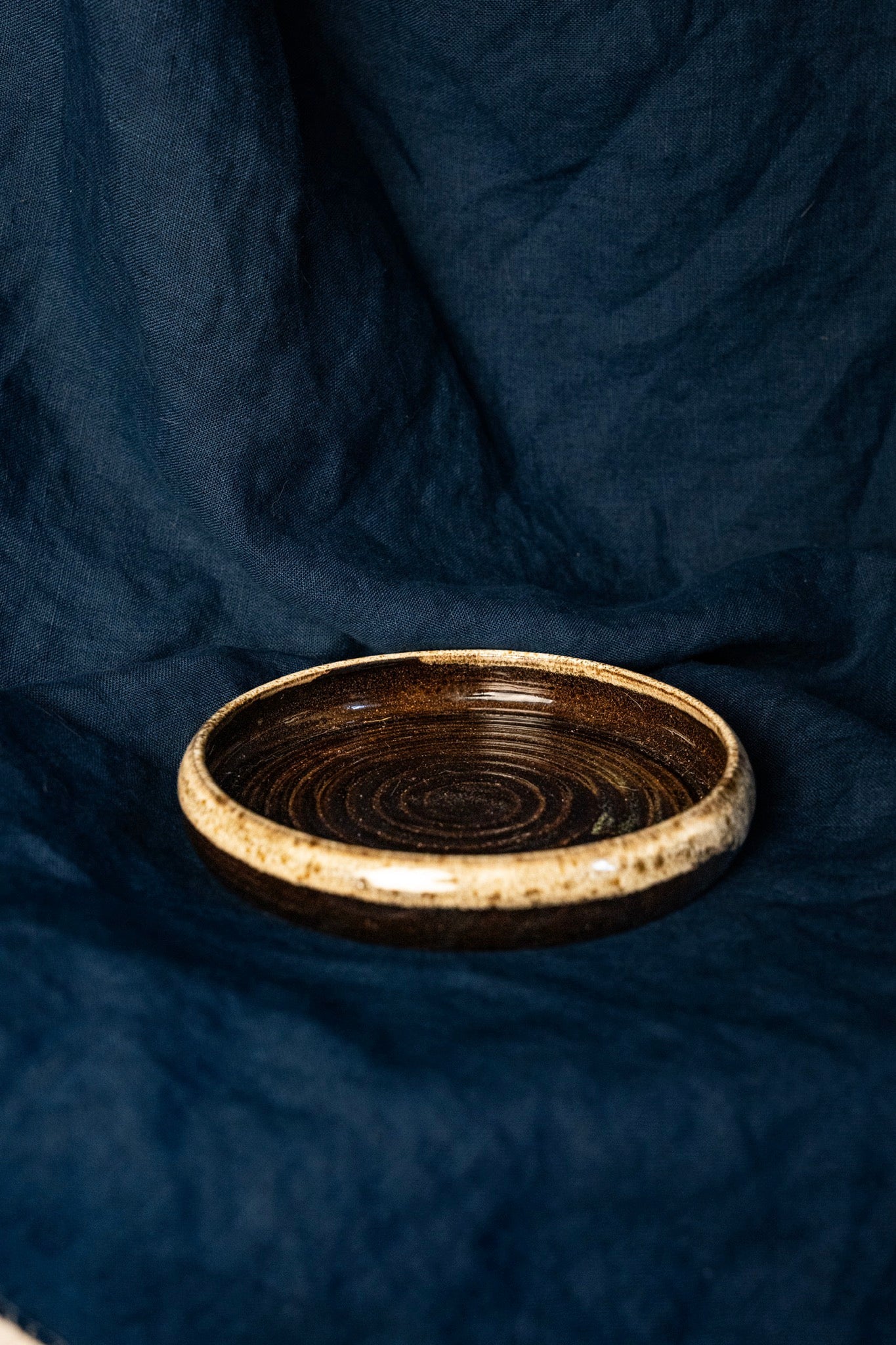 sansui dish