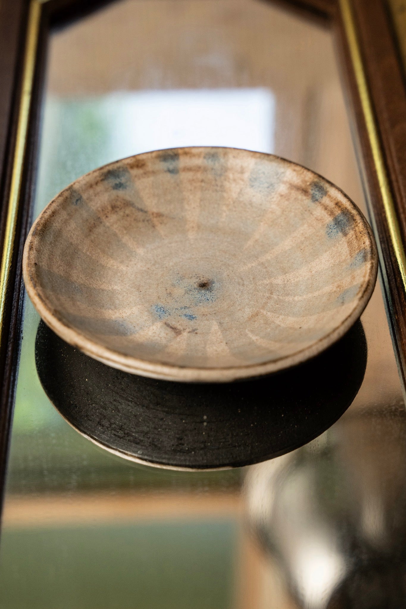 sand dollar trinket dish